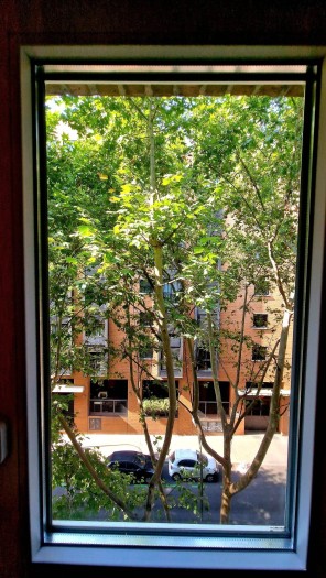 Vistas